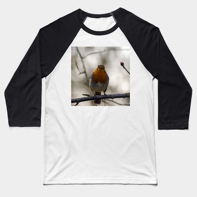 Robin Singing Baseball T-Shirt by Nigdaw